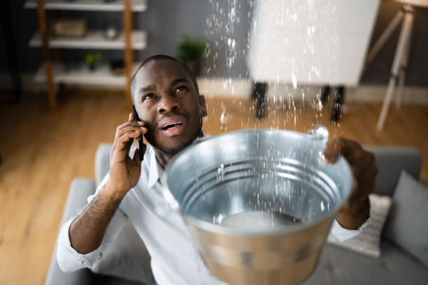 Best Flood restoration services  in Lemon Hill, CA