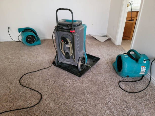 Best Fire Damage Restoration  in Lemon Hill, CA