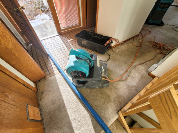 Best Professional water damage repair  in Lemon Hill, CA