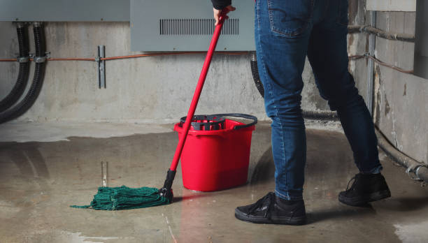 Best 24/7 water damage repair  in Lemon Hill, CA