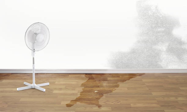 Best Carpet water damage restoration  in Lemon Hill, CA