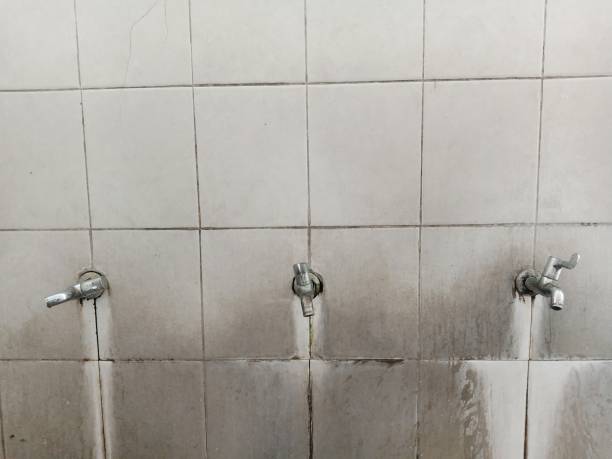 Best Mold removal after water damage  in Lemon Hill, CA