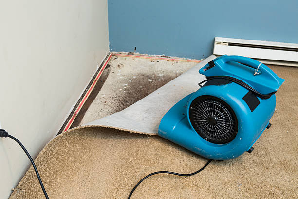  Lemon Hill, CA Water damage restoration Pros